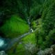 Creek in the Forest